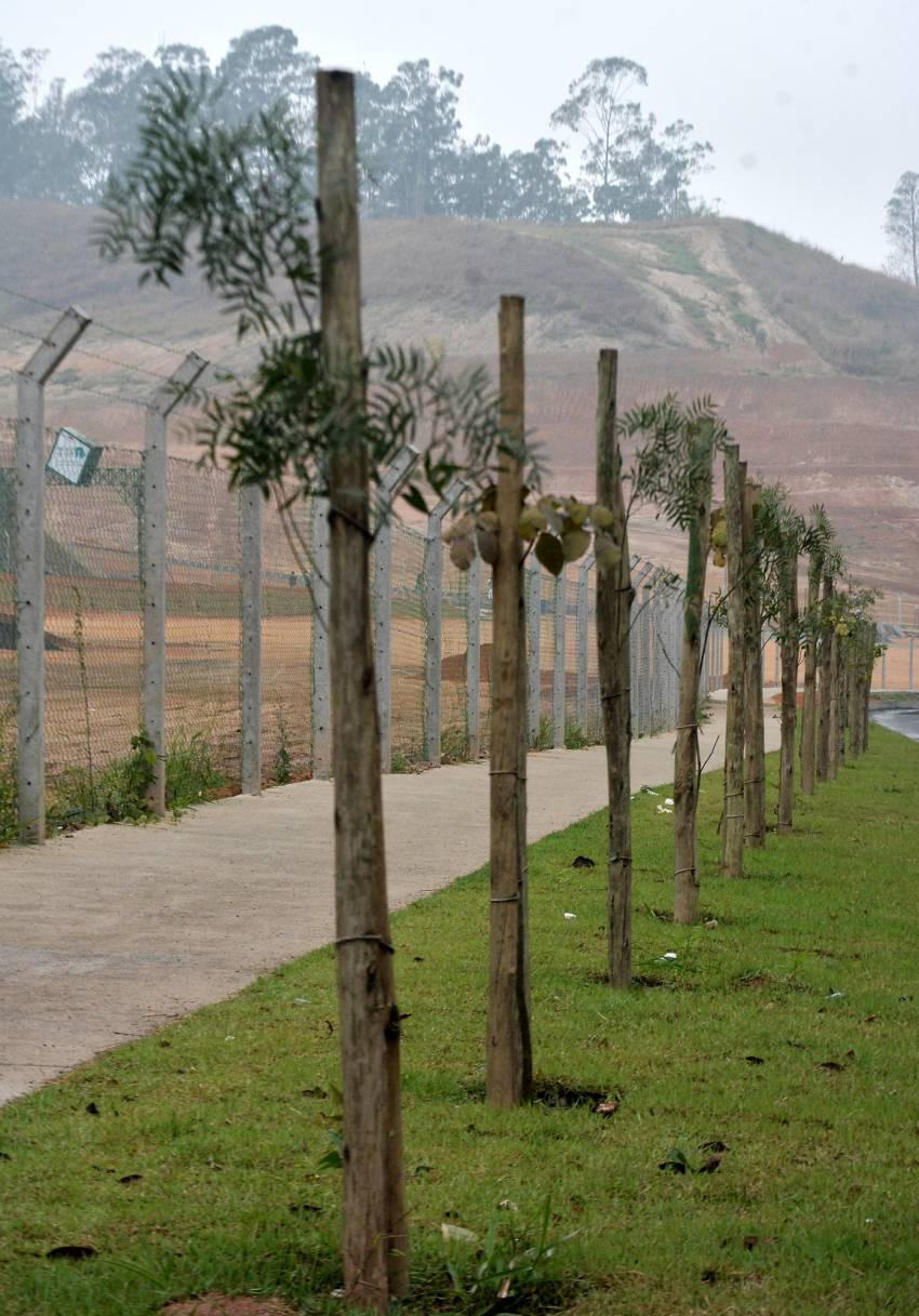 Meio Ambiente: Volta Redonda terá mais de 15 mil mudas plantadas até final de 2020