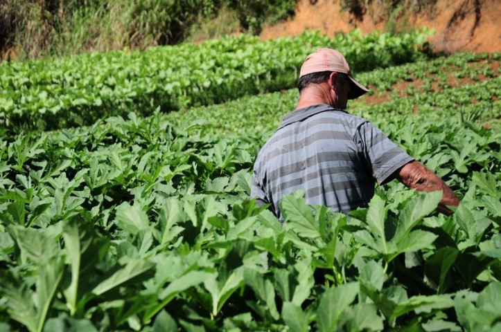 Educação de Barra Mansa realiza chamada pública para produtores da agricultura familiar