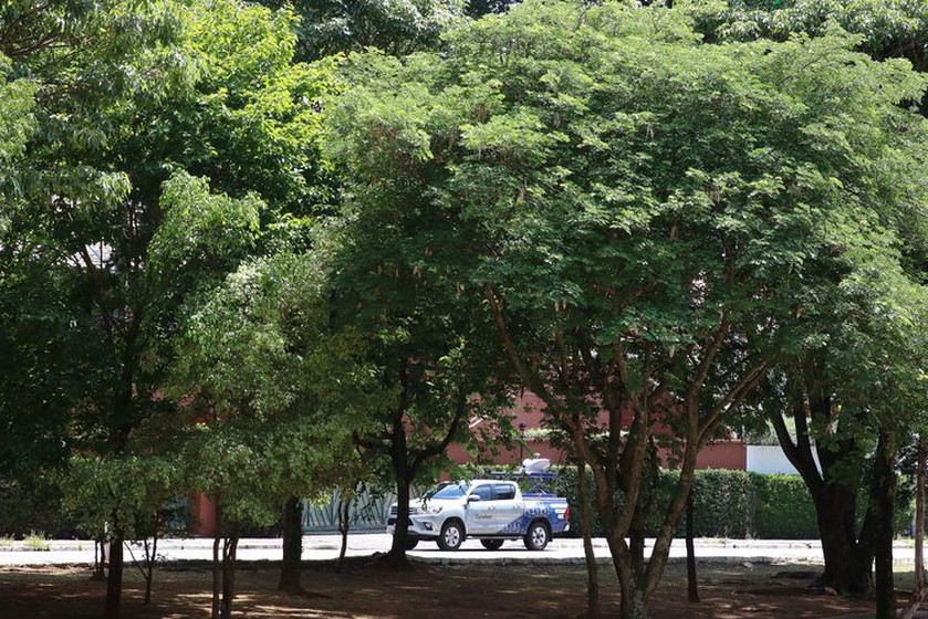 Informações colhidas embasarão tomada de decisões sobre poda e remoção de árvores - Rovena Rosa/Agência Brasil