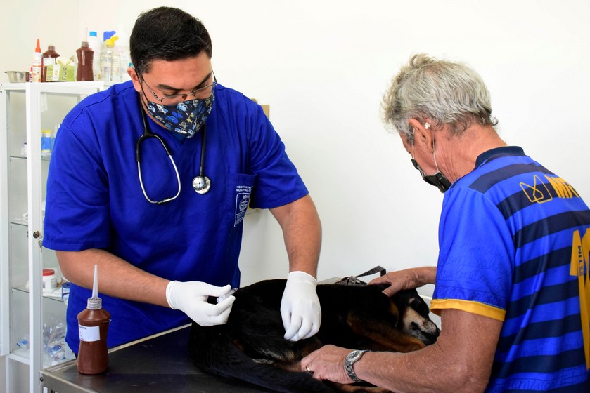 Hospital veterinário de Resende registra mais de 8 mil cães e gatos atendidos nos primeiros três meses de implantação