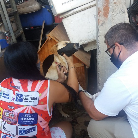 Prefeitura de Barra Mansa intensifica ações de combate à Leishmaniose Visceral Canina